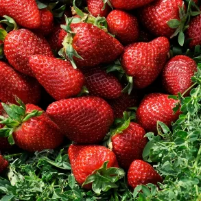 Mixing Colors - What Color Does Red and Green Make - Explained