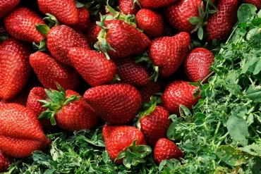 Mixing Colors - What Color Does Red and Green Make - Explained