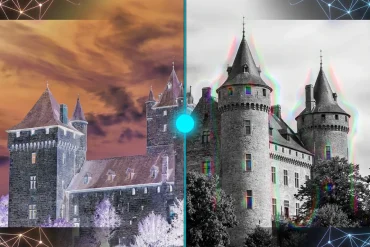 Black and White to Color Optical Illusion: Science, Creation & Viral Trends 2026